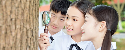 寧夏在職研究生 寧夏在職研究生