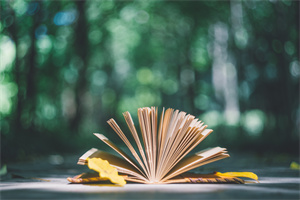 法學在職研究生含金量