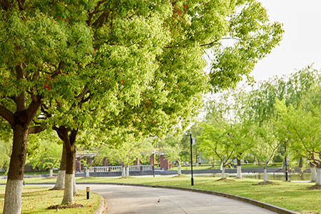 什么是應用心理學在職研究生 什么是應用心理學在職研究生