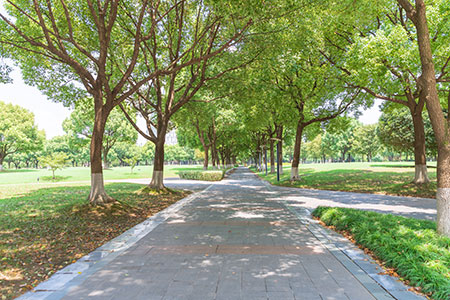 甘肅中醫(yī)藥大學在職研究生學費一覽表,附課程優(yōu)勢 甘肅中醫(yī)藥大學在職研究生學費一覽表,附課程優(yōu)勢