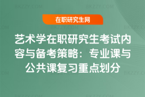 藝術學在職研究生考試內容與備考策略:專業課與公共課復習重點劃分